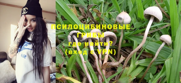 бошки Алзамай