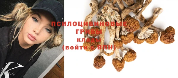 скорость Алексин